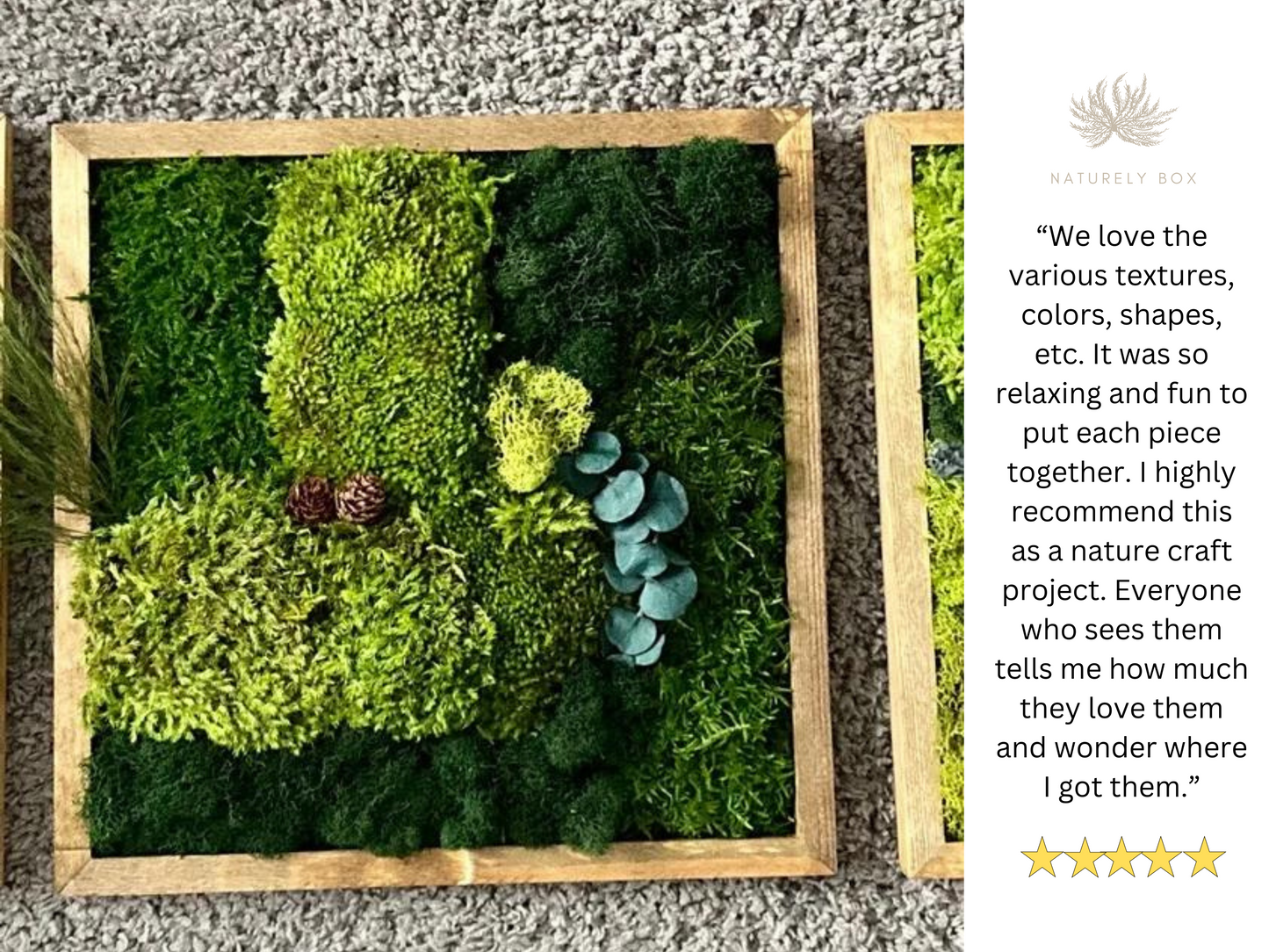 DIY Moss Art Wall Kit (3 frame kit)