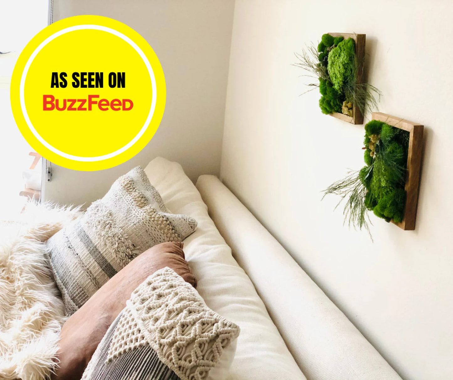 DIY Moss Wall Art Kit (2 frame kit)