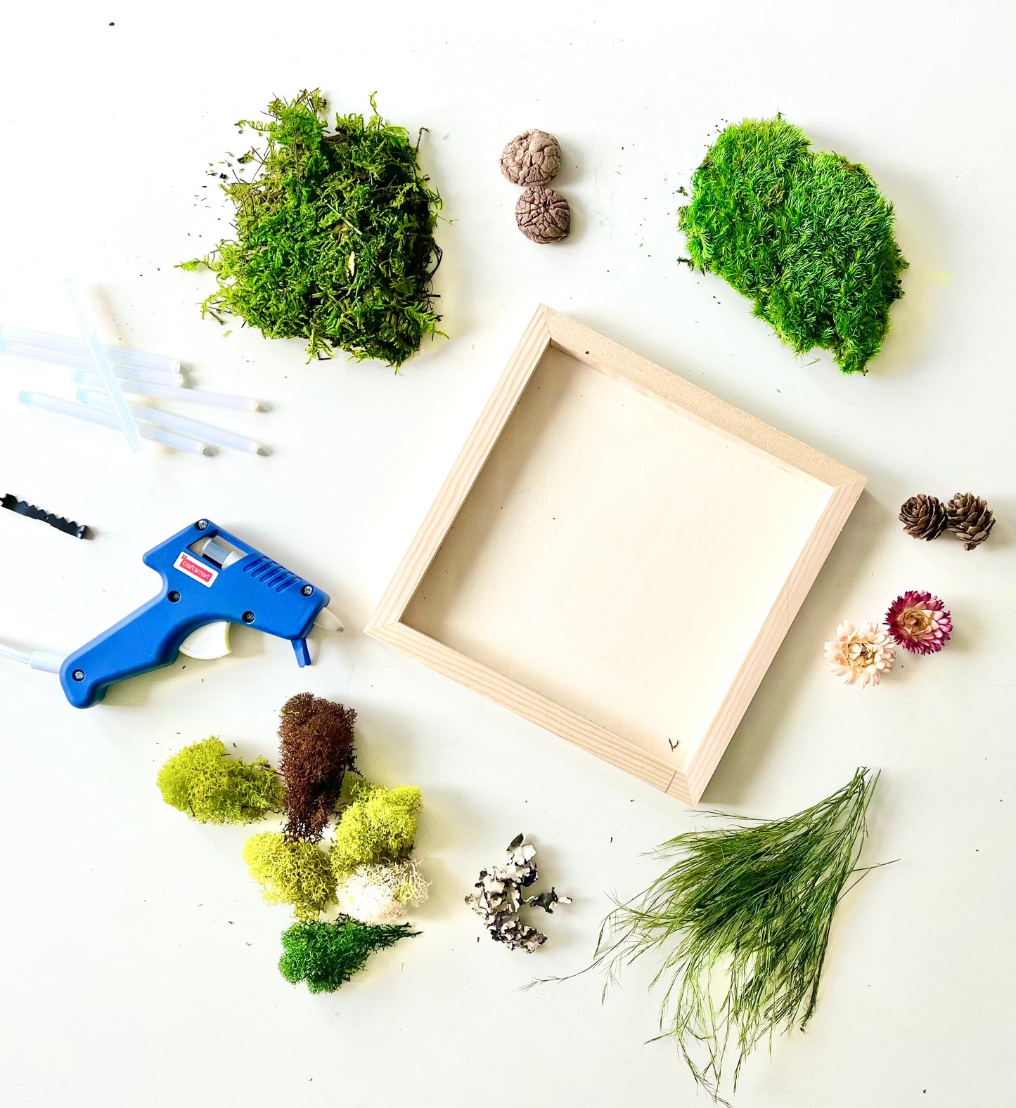 DIY Moss Wall Art Frame Kit
