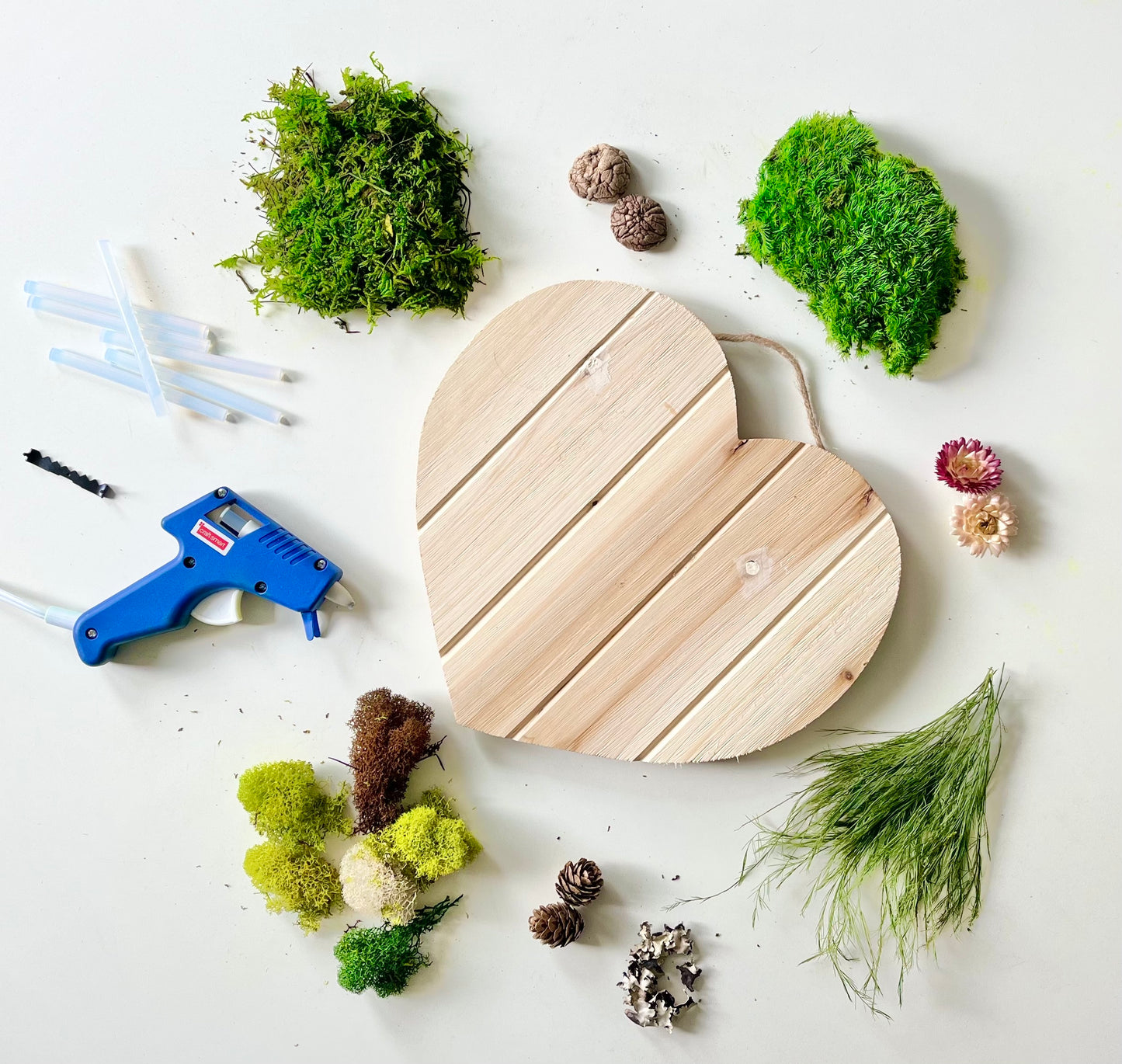 DIY Heart Frame Moss Wall Kit