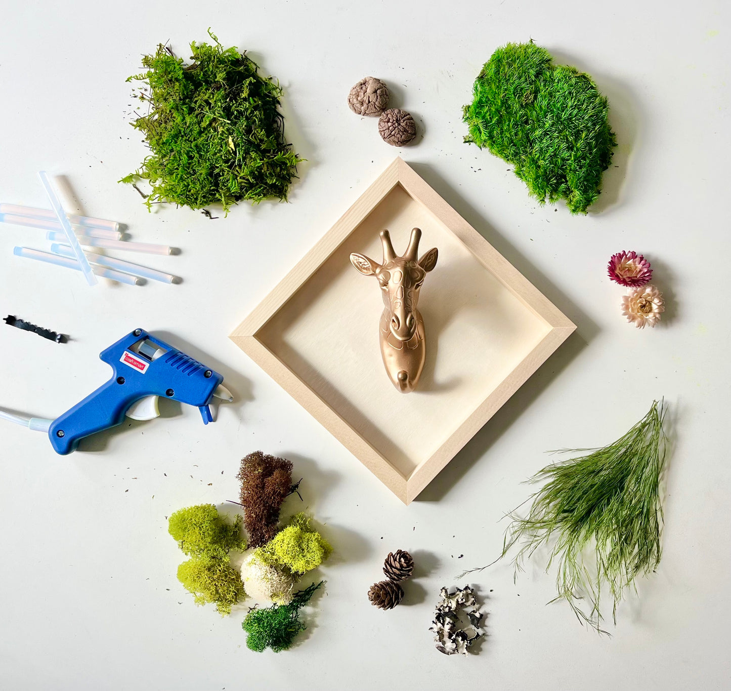 DIY Animal Moss Wall Art Kit