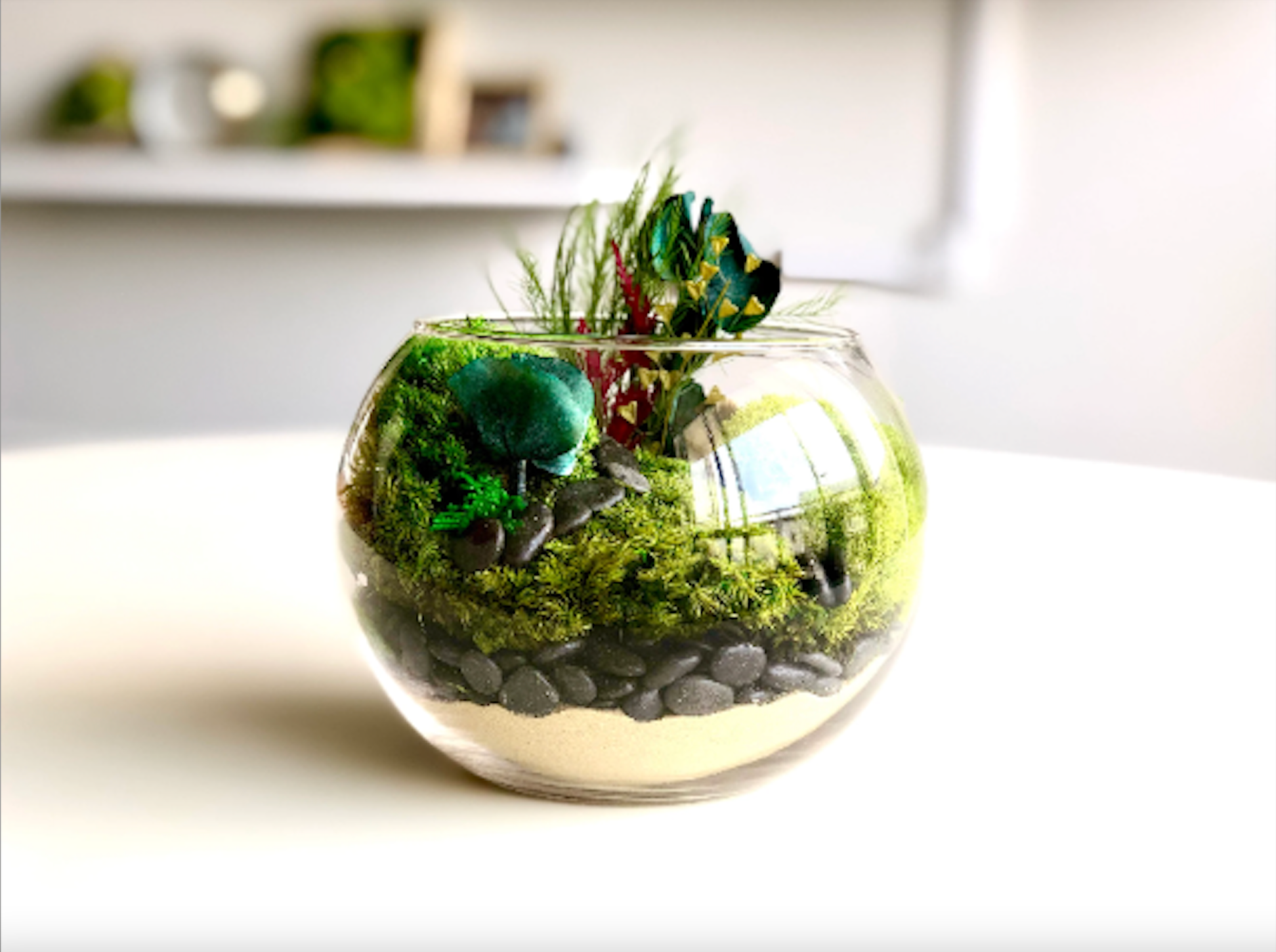 Unveil the Benefits of Terrariums A Haven for Plants and Well-being Unveil the Benefits of Terrariums A Haven for Plants and Well-being