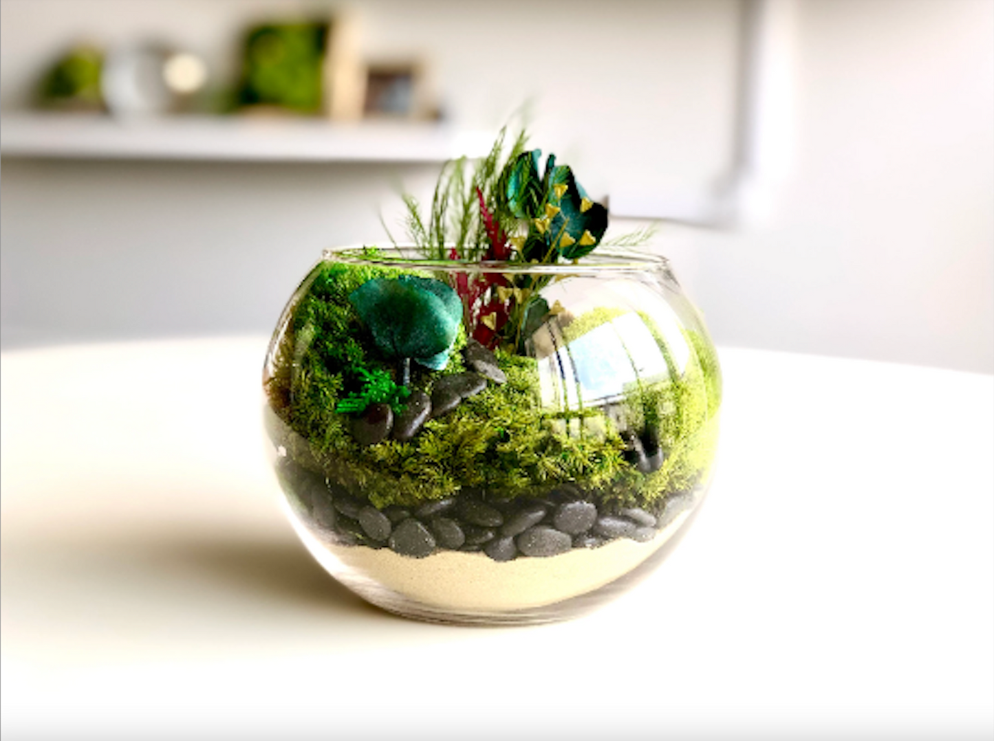 DIY Terrarium Kit