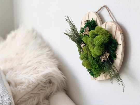 DIY Heart Frame Moss Wall Kit