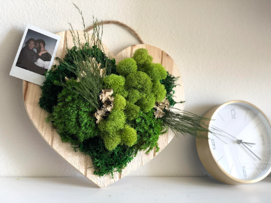 DIY Heart Frame Moss Wall Kit