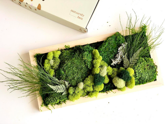 DIY Rectangular Moss Wall Art Kit