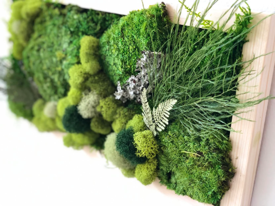 DIY Rectangular Moss Wall Art Kit