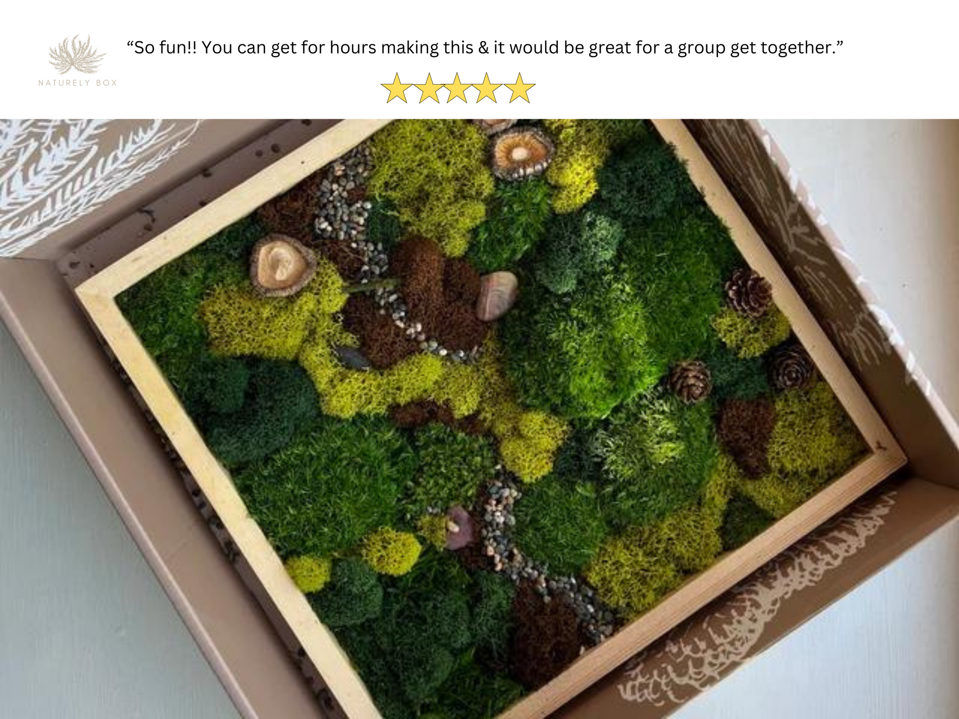 Craft Kit for Teens DIY Art Gift Set for Teenagers DIY Craft Therapy Box  Frame Moss Art Flores Design Art Crafts Nature Inspired Room Decor 
