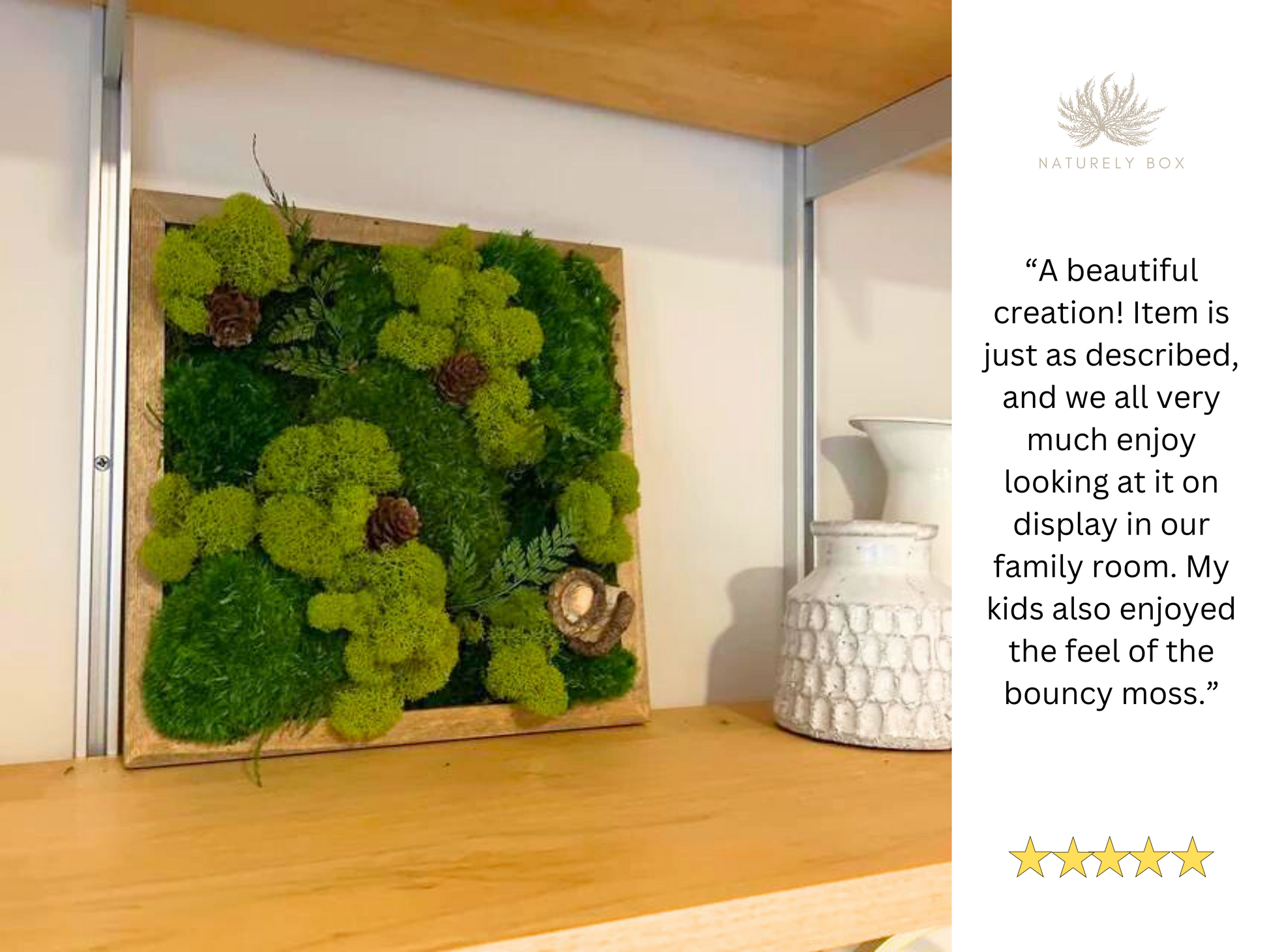 DIY Preserved Moss Wall Art Kit, Rocky Riverway – Live Long And Plant