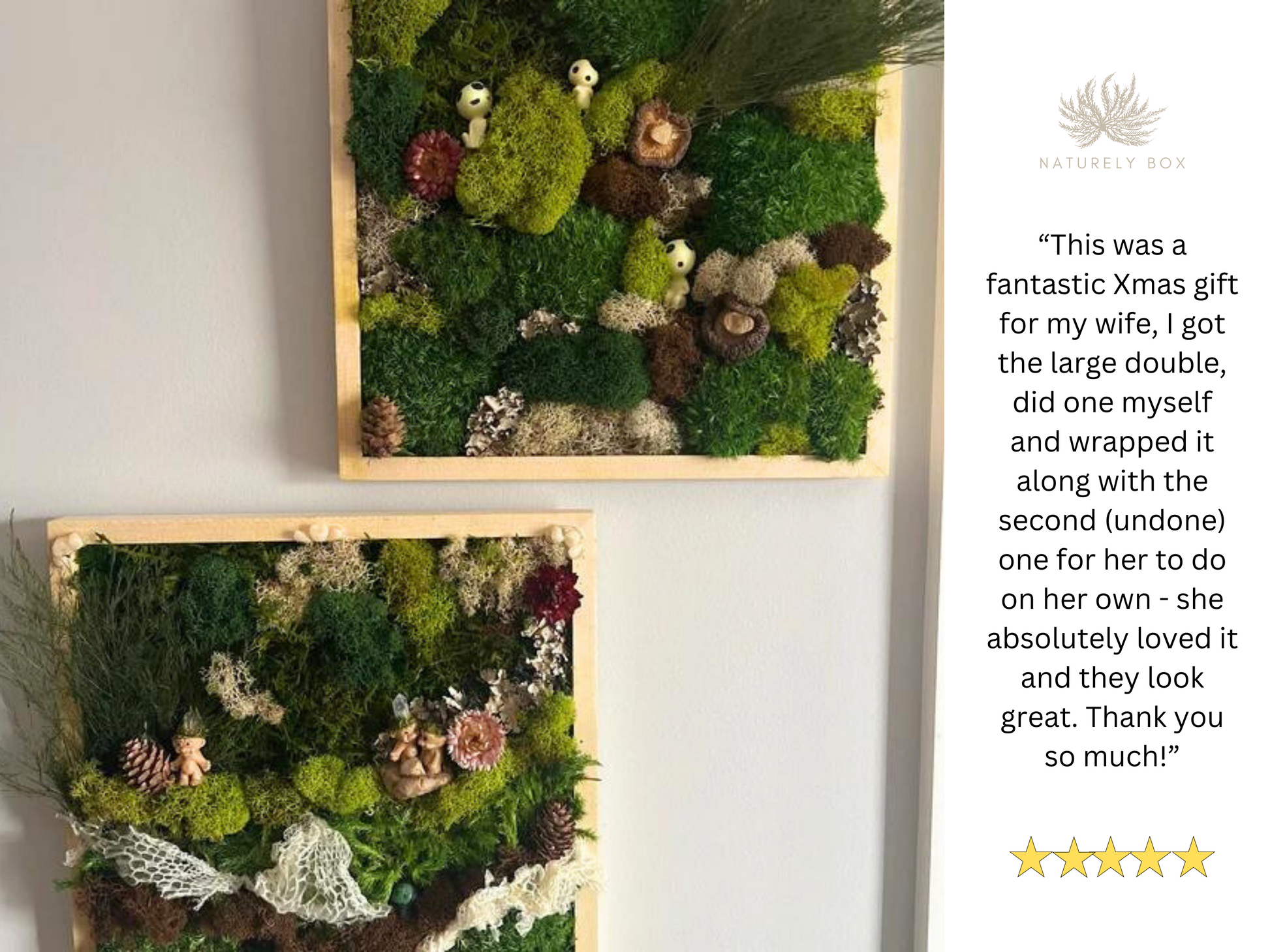 DIY Moss Wall Art Frame Kit – NaturelyBox
