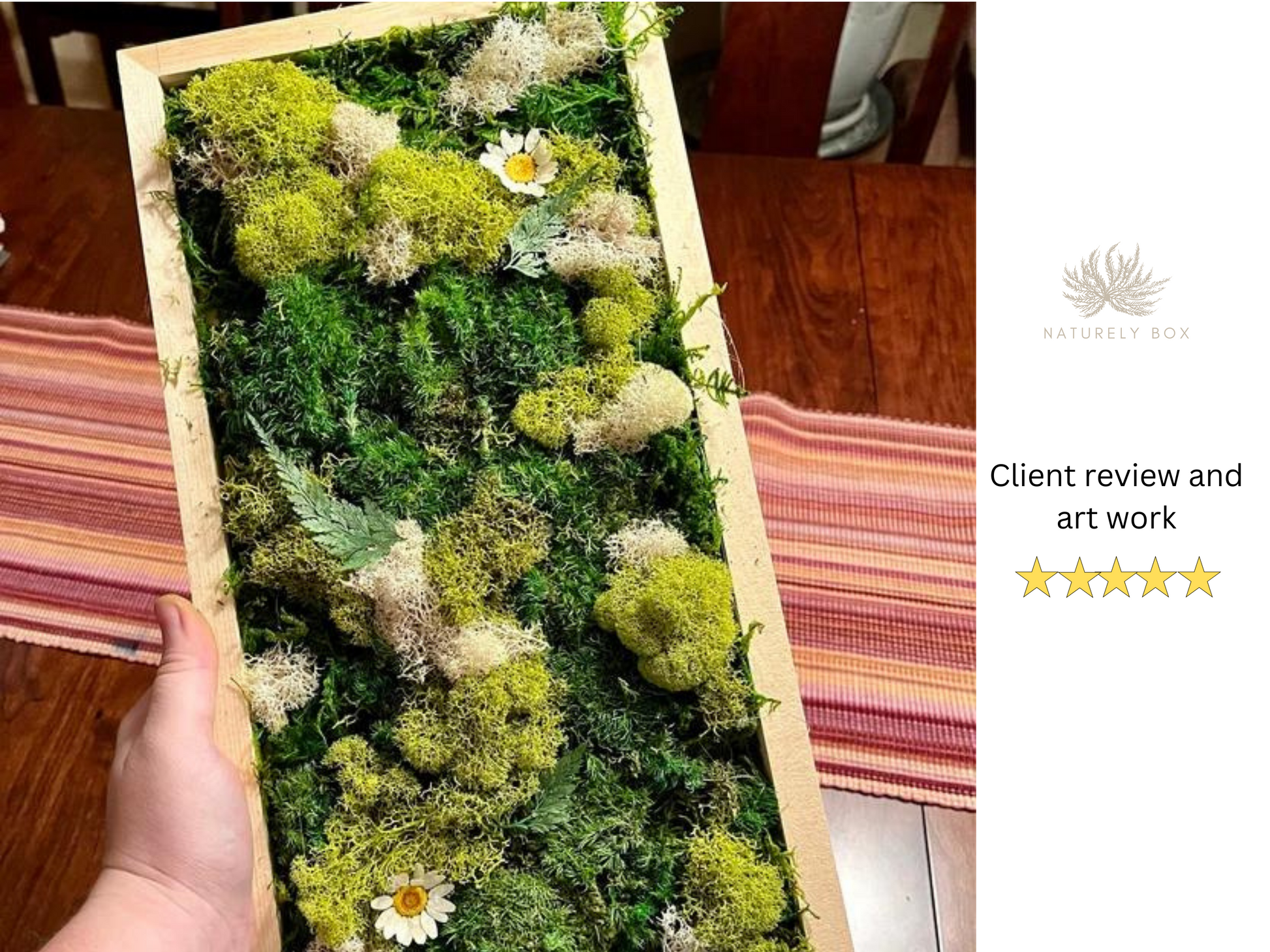 DIY Preserved Moss Wall Art Kit, Rocky Riverway – Live Long And Plant