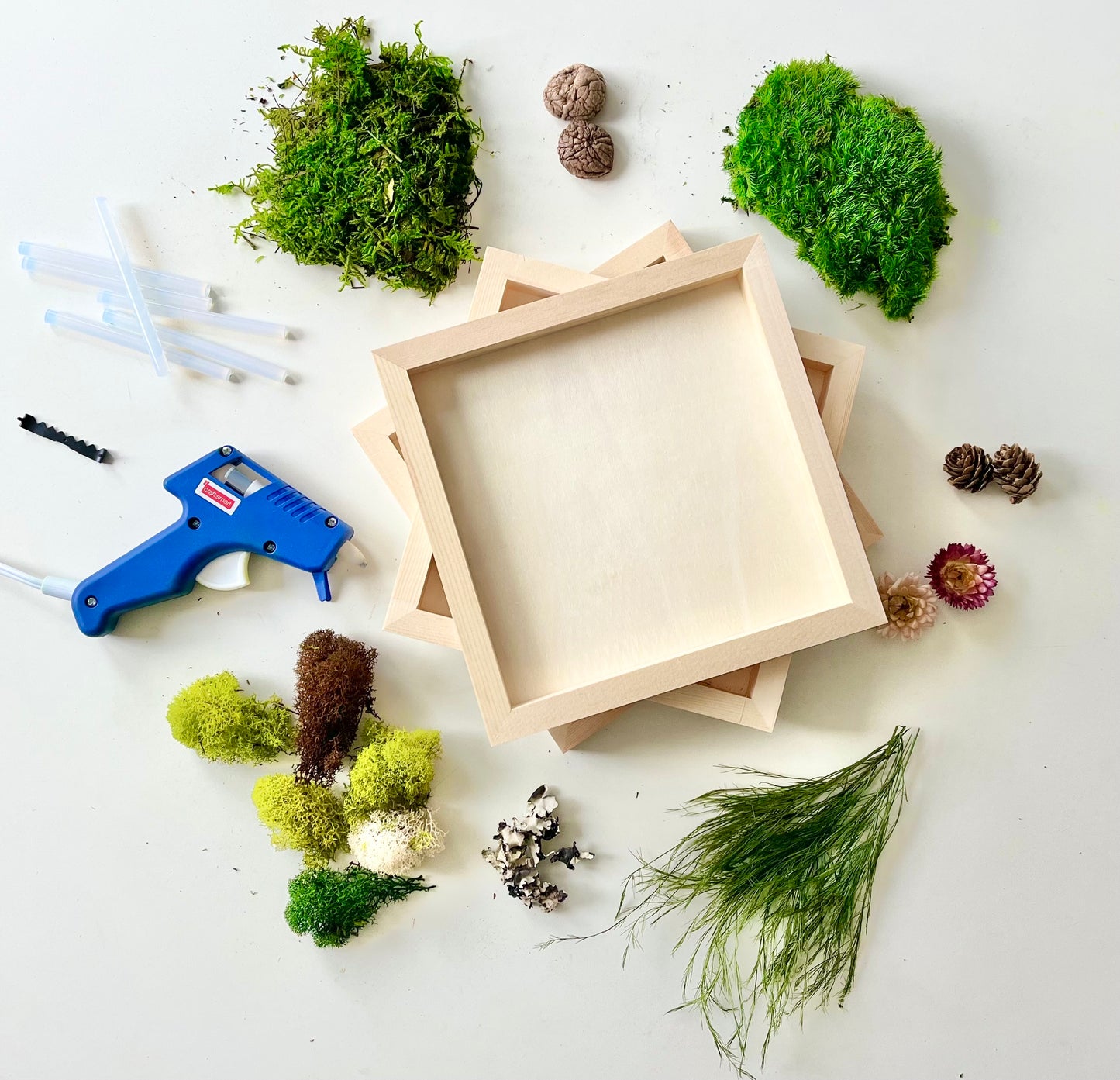 DIY Moss Art Wall Kit (3 frame kit)