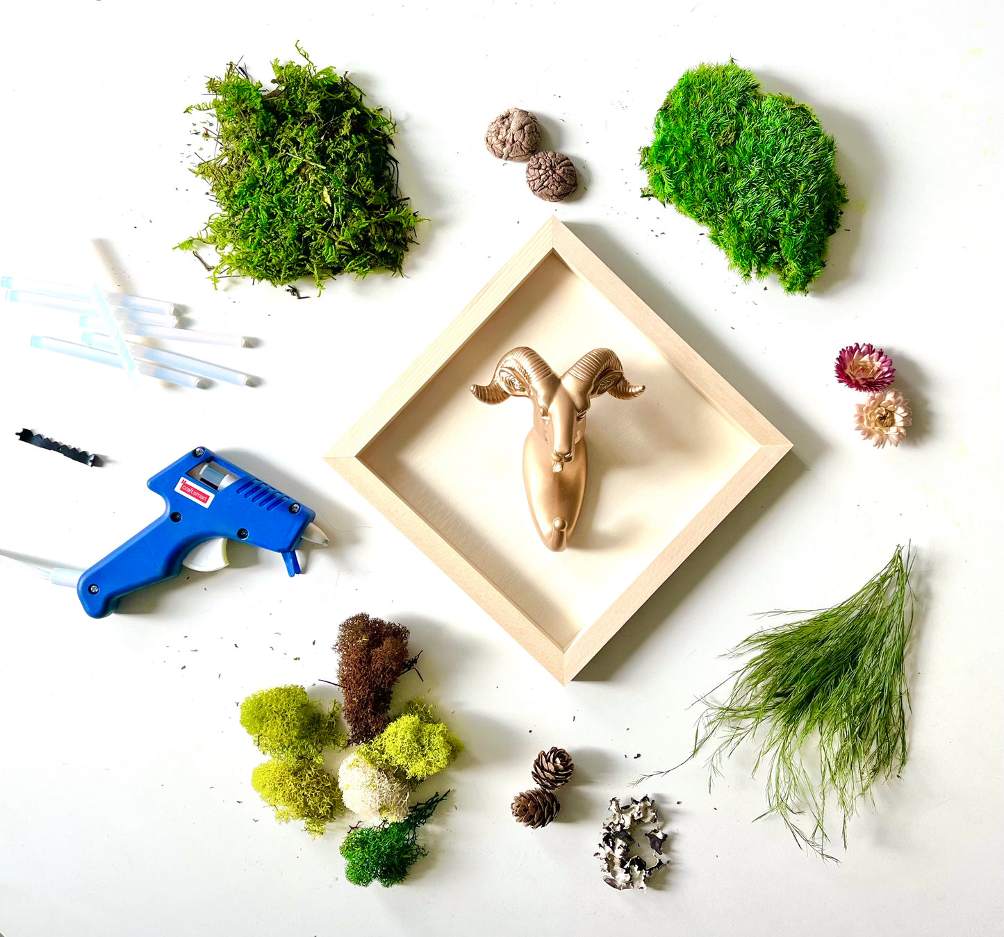 DIY Animal Moss Art Kit