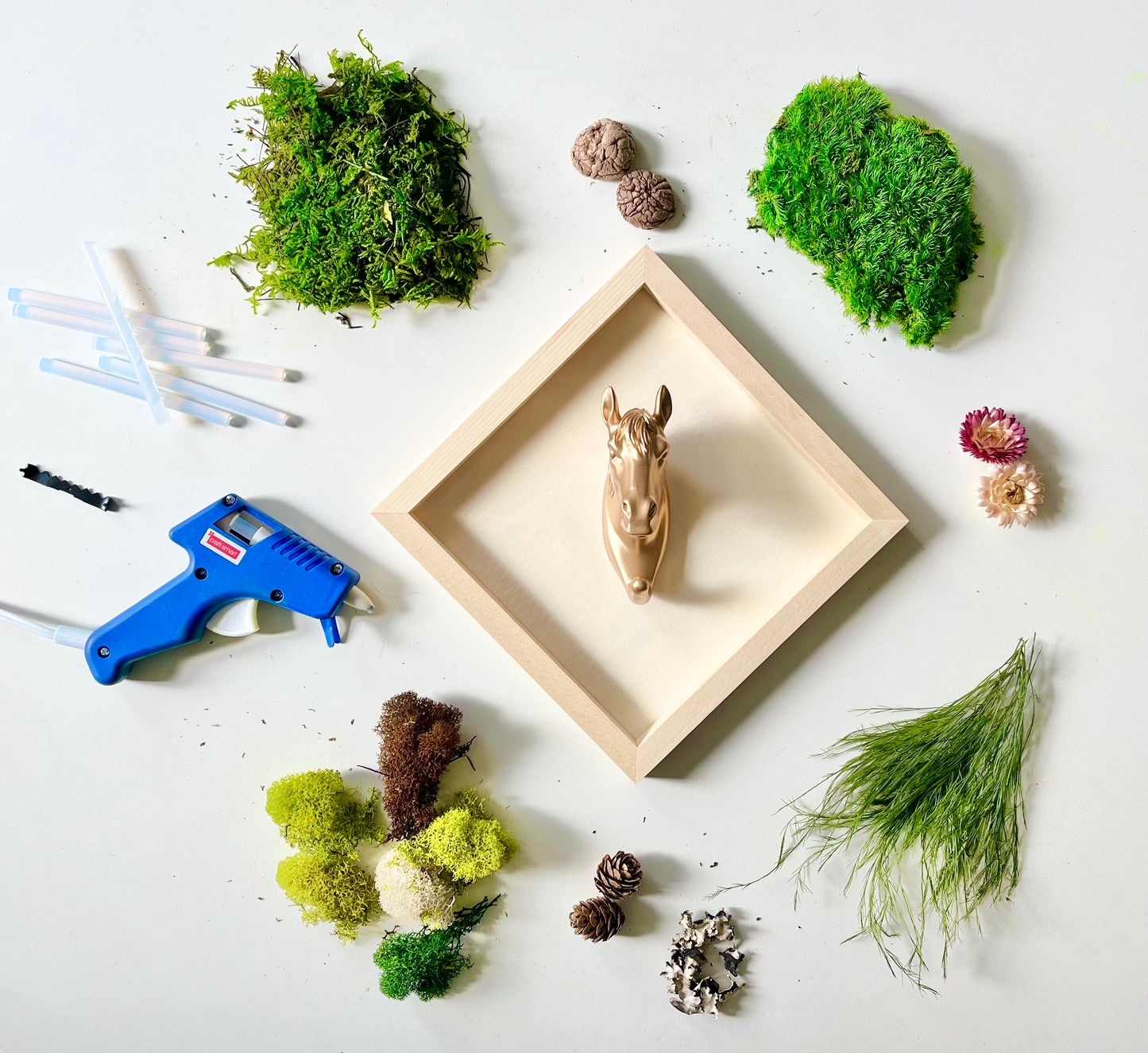 DIY Animal Moss Art Kit