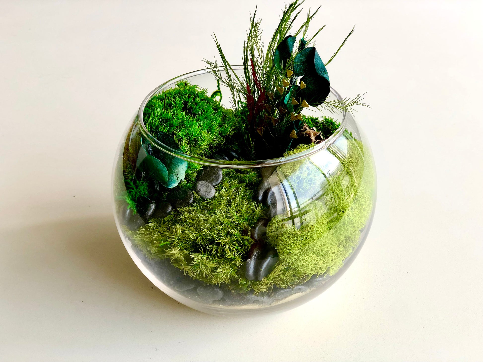 Kit Terrarium DIY Napoli  Terrarium to make yourself – La Green Touch