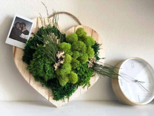 Moss Wall Art DIY Kit By Euflora – Plant World Botanics