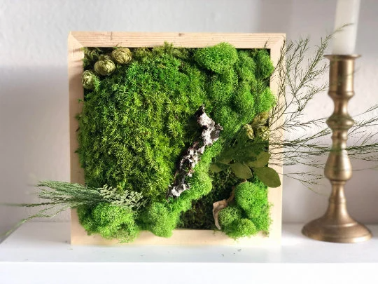 Custom Made Moss Art Frame (Pre-made)