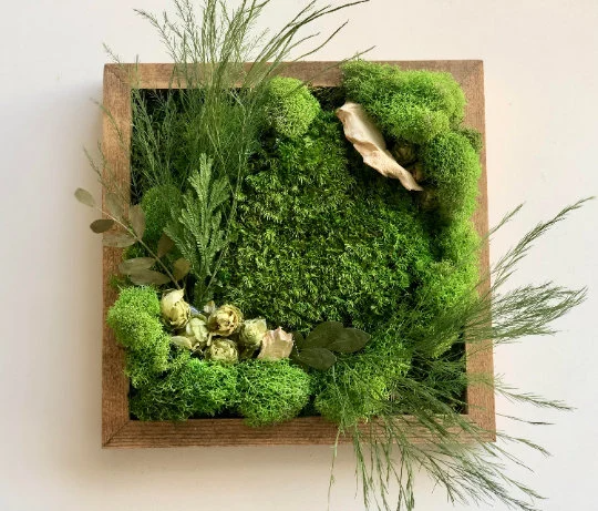 DIY Rectangular Moss Wall Art Kit – NaturelyBox