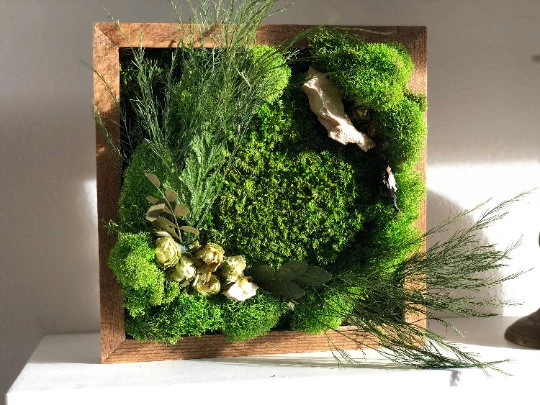 Custom Made Moss Art Frame (Pre-made)