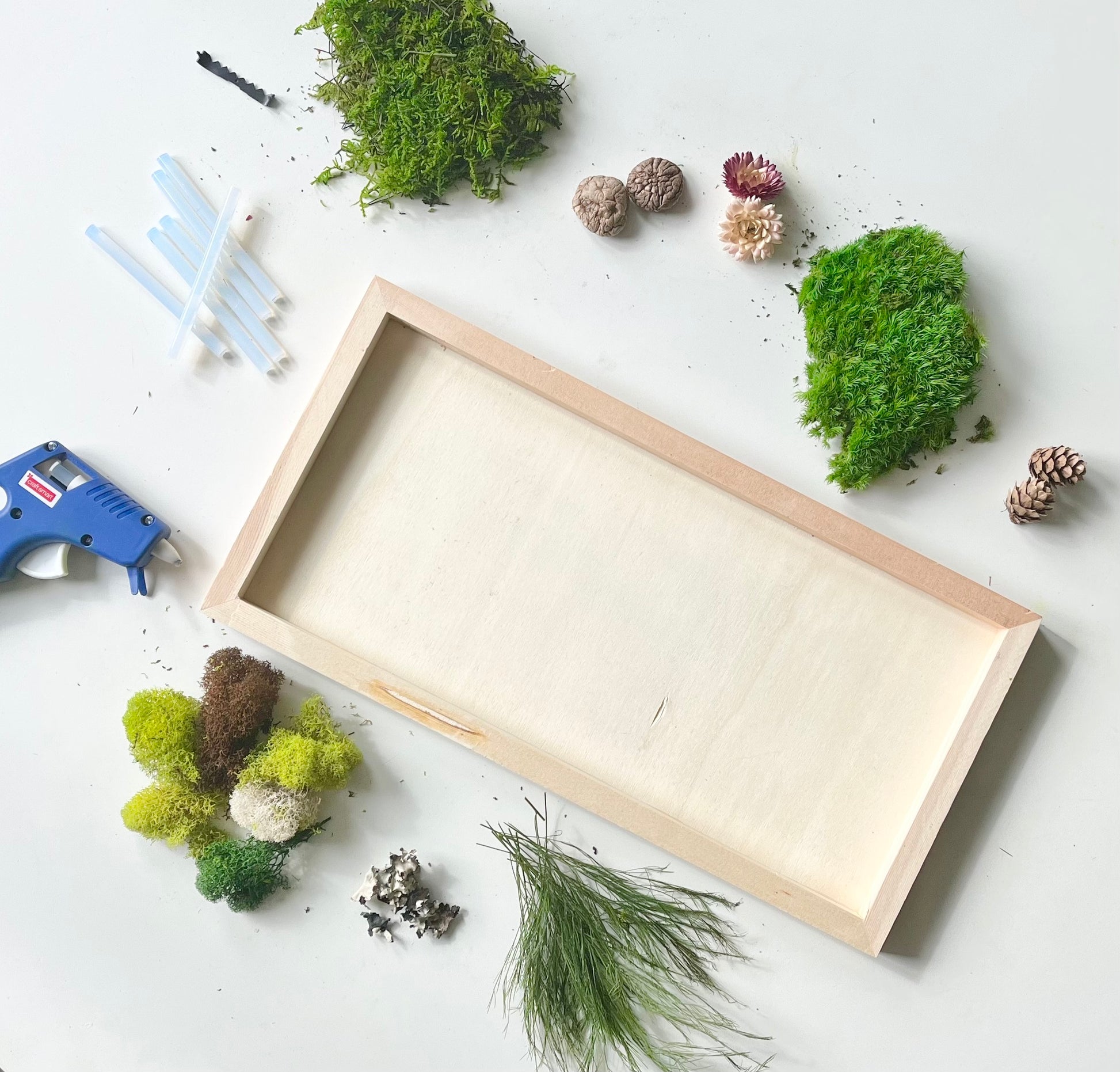 Easy DIY Moss Frame ~ Trendy Wall Art DIY – Crafty Lumberjacks